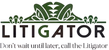 Litigator